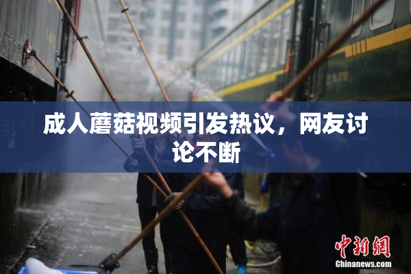 成人蘑菇视频引发热议，网友讨论不断