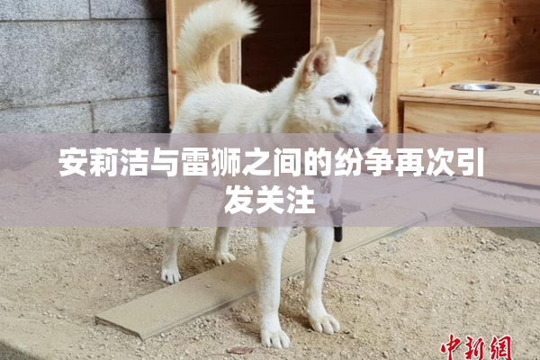 安莉洁与雷狮之间的纷争再次引发关注