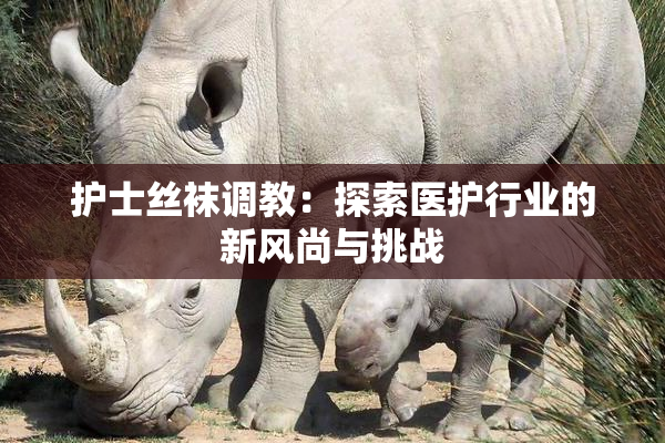 护士丝袜调教：探索医护行业的新风尚与挑战