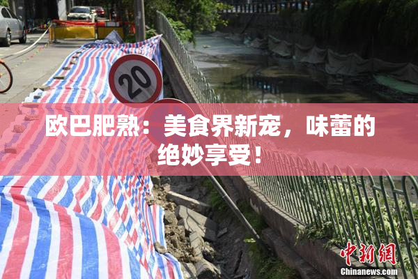 欧巴肥熟：美食界新宠，味蕾的绝妙享受！