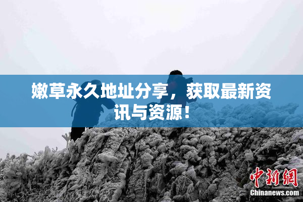 嫩草永久地址分享，获取最新资讯与资源！
