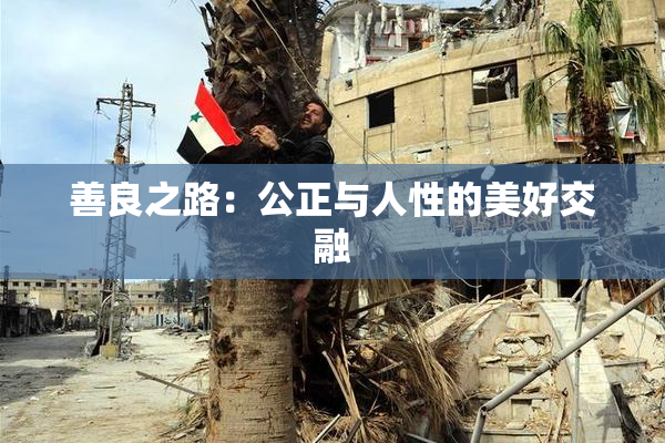善良之路：公正与人性的美好交融