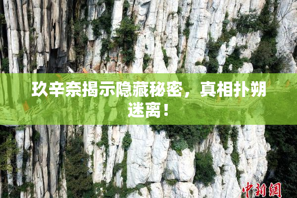玖辛奈揭示隐藏秘密，真相扑朔迷离！