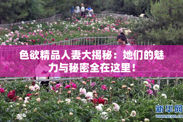 色欲精品人妻大揭秘：她们的魅力与秘密全在这里！