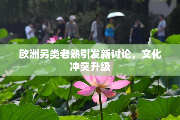 欧洲另类老熟引发新讨论，文化冲突升级