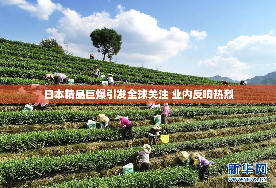日本精品巨爆引发全球关注 业内反响热烈