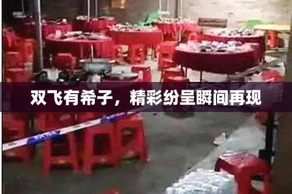 双飞有希子，精彩纷呈瞬间再现