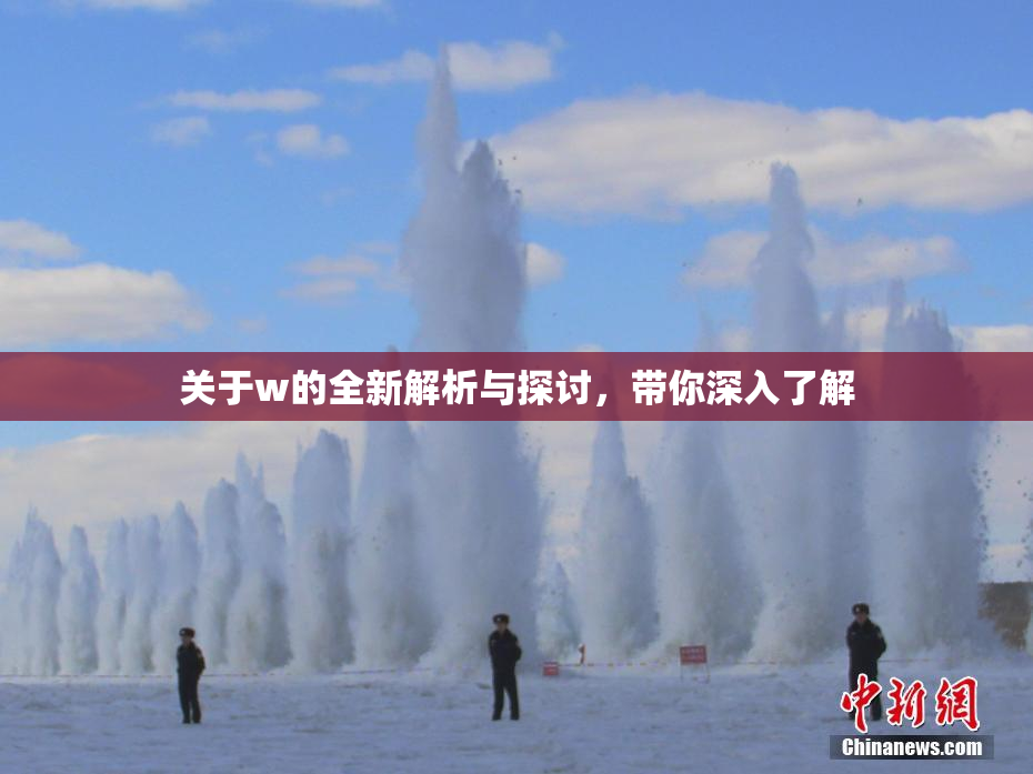 关于w的全新解析与探讨，带你深入了解