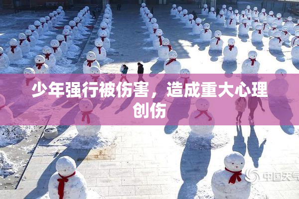 少年强行被伤害，造成重大心理创伤