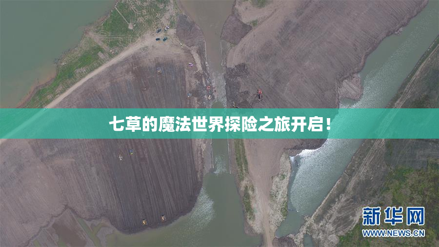 七草的魔法世界探险之旅开启！