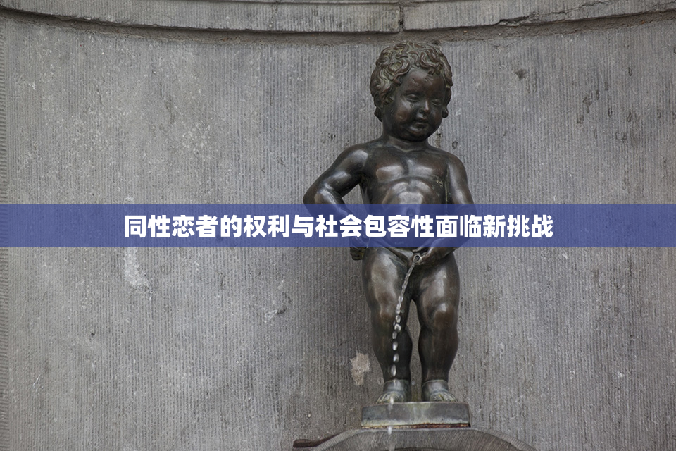 同性恋者的权利与社会包容性面临新挑战