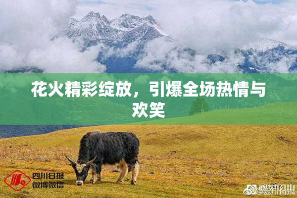 花火精彩绽放，引爆全场热情与欢笑