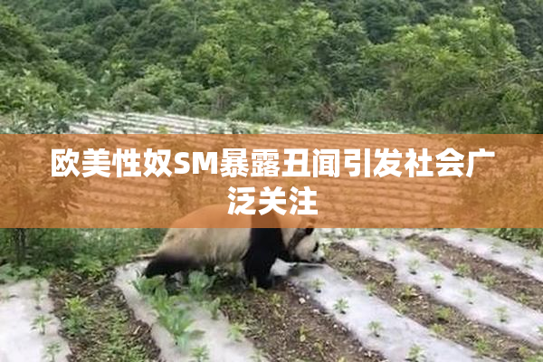 欧美性奴SM暴露丑闻引发社会广泛关注