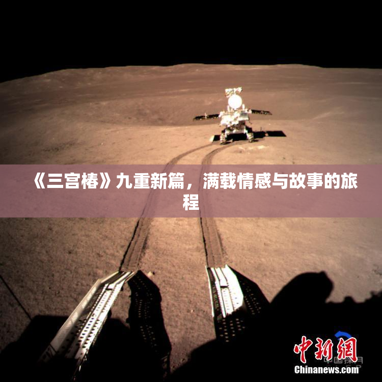 《三宫椿》九重新篇，满载情感与故事的旅程