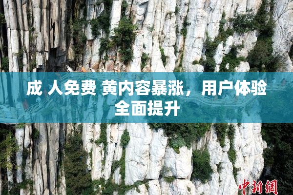 成 人免费 黄内容暴涨，用户体验全面提升