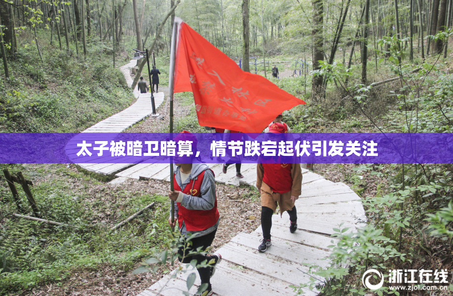 太子被暗卫暗算，情节跌宕起伏引发关注