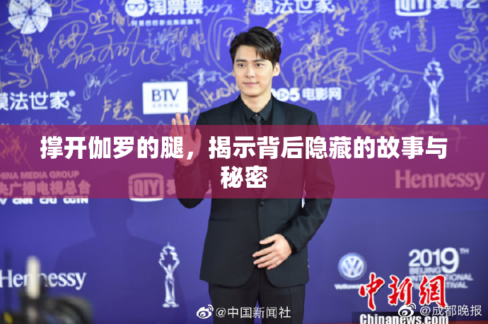 撑开伽罗的腿，揭示背后隐藏的故事与秘密