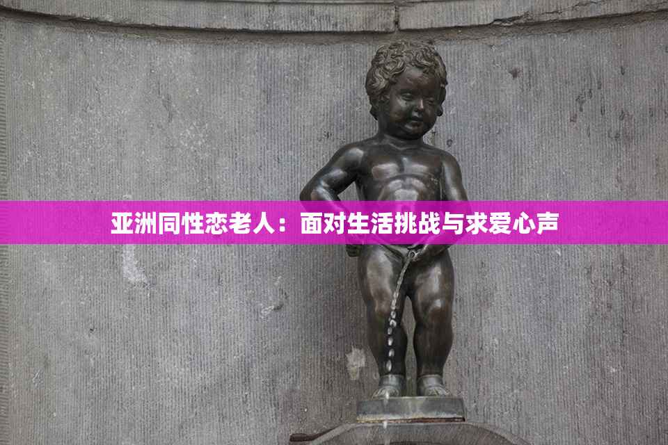 亚洲同性恋老人：面对生活挑战与求爱心声