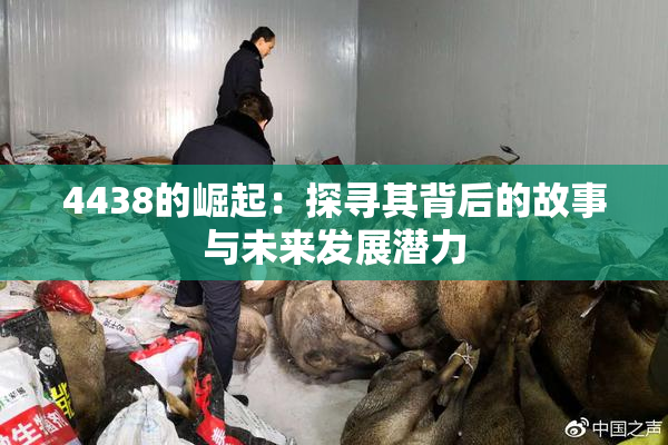 4438的崛起：探寻其背后的故事与未来发展潜力