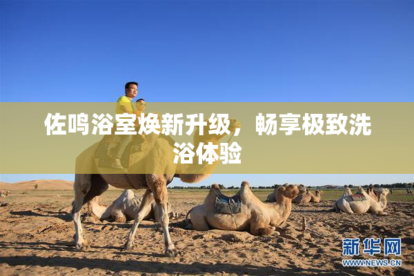 佐鸣浴室焕新升级，畅享极致洗浴体验