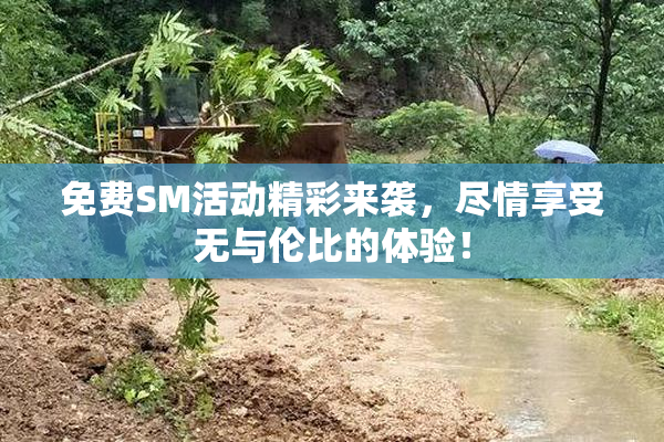 免费SM活动精彩来袭，尽情享受无与伦比的体验！