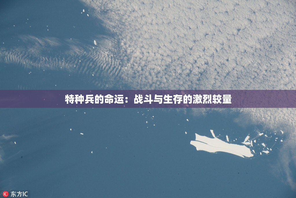 特种兵的命运：战斗与生存的激烈较量