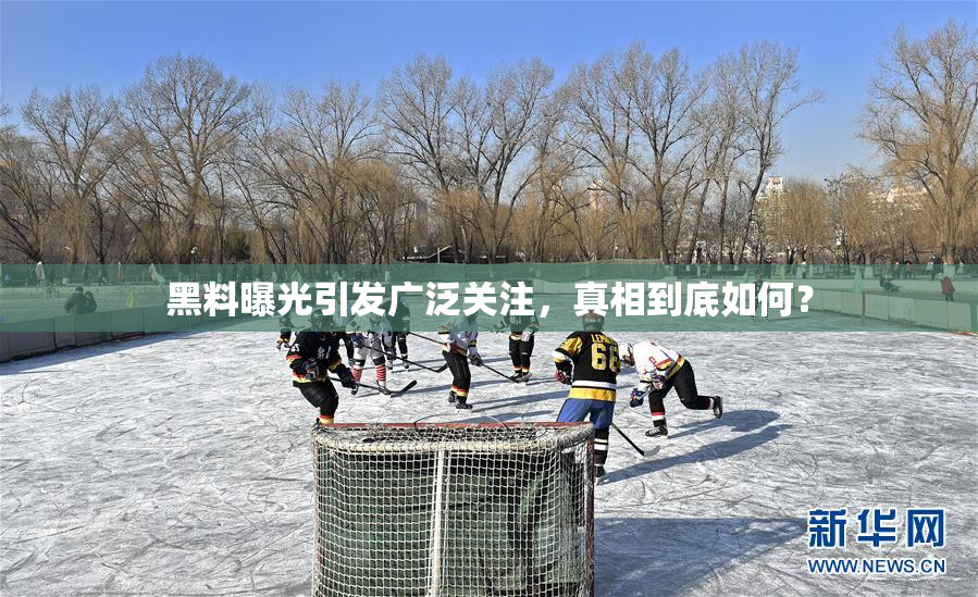 黑料曝光引发广泛关注，真相到底如何？