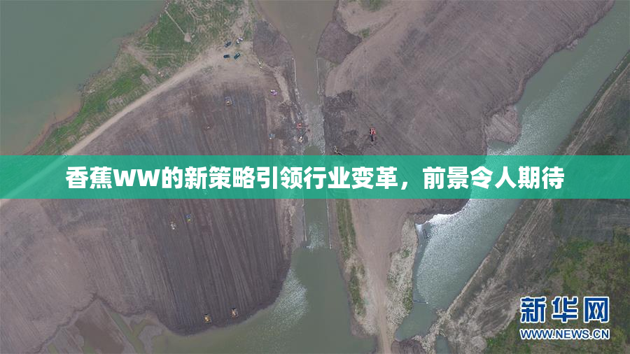 香蕉WW的新策略引领行业变革，前景令人期待