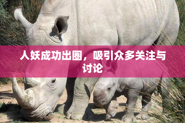 人妖成功出圈，吸引众多关注与讨论