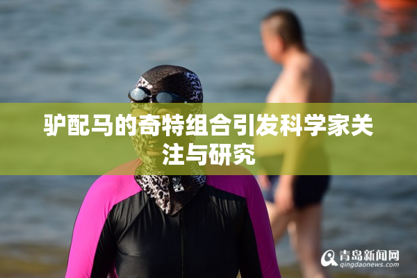 驴配马的奇特组合引发科学家关注与研究