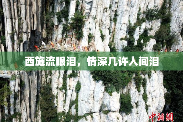西施流眼泪，情深几许人间泪