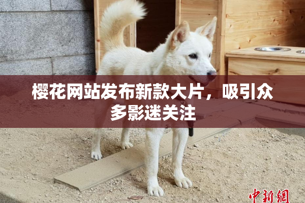 樱花网站发布新款大片，吸引众多影迷关注
