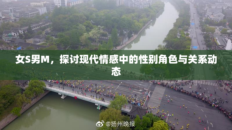 女S男M，探讨现代情感中的性别角色与关系动态