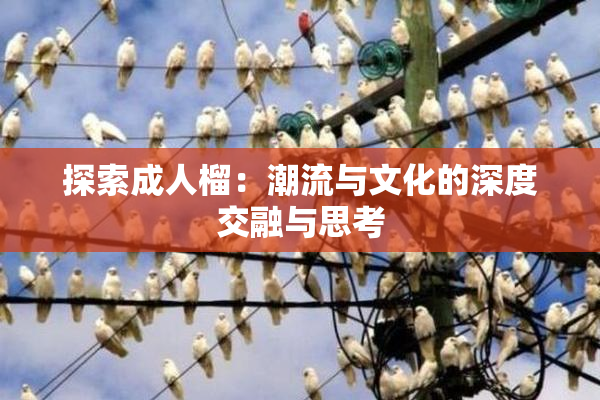 探索成人榴：潮流与文化的深度交融与思考