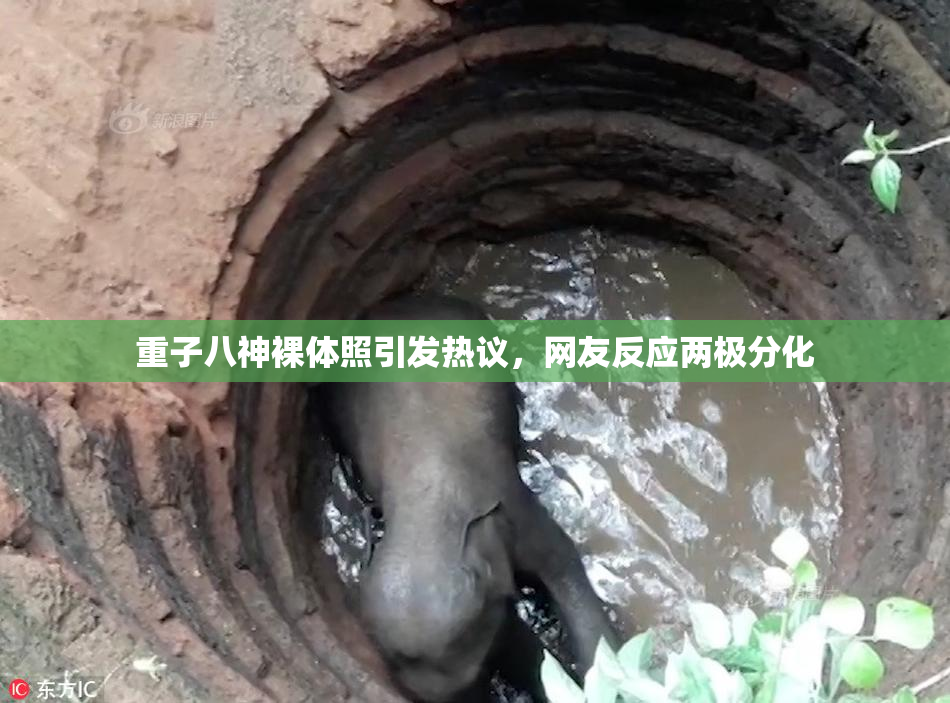 重子八神裸体照引发热议，网友反应两极分化