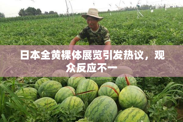 日本全黄裸体展览引发热议，观众反应不一