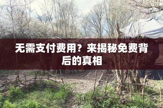 无需支付费用？来揭秘免费背后的真相