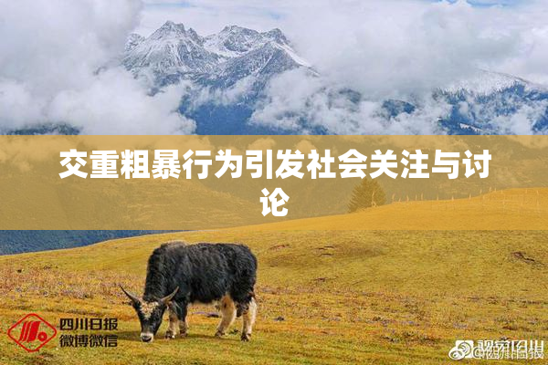交重粗暴行为引发社会关注与讨论
