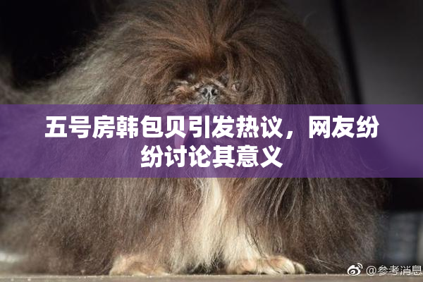 五号房韩包贝引发热议，网友纷纷讨论其意义
