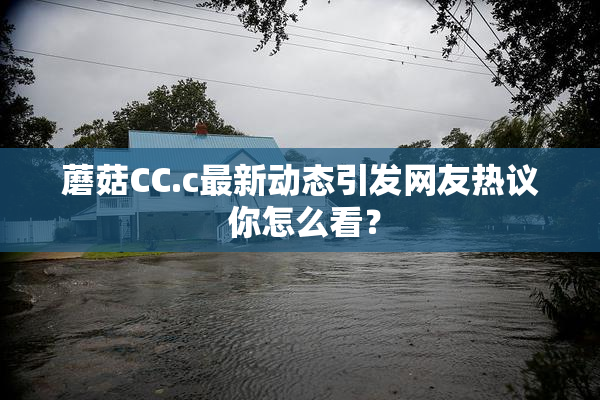 蘑菇CC.c最新动态引发网友热议 你怎么看？
