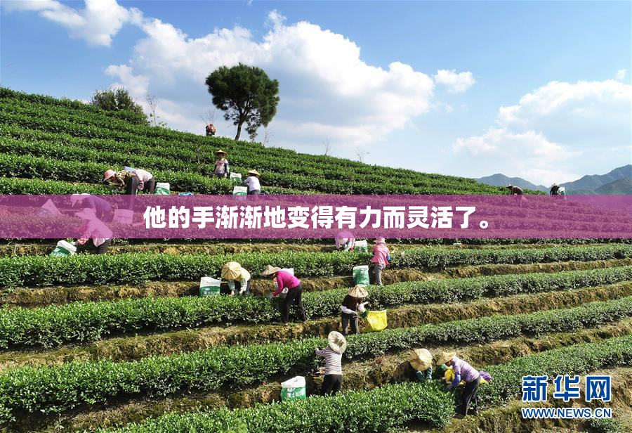 他的手渐渐地变得有力而灵活了。