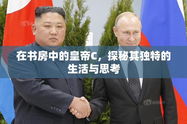 在书房中的皇帝C，探秘其独特的生活与思考