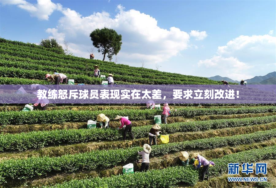 教练怒斥球员表现实在太差，要求立刻改进！