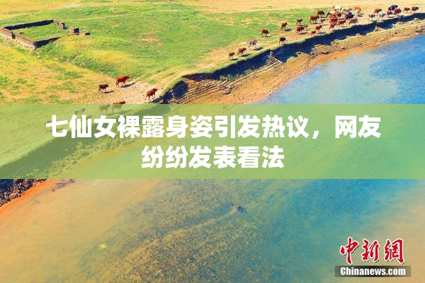 七仙女裸露身姿引发热议，网友纷纷发表看法