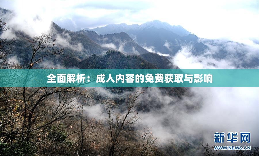 全面解析：成人内容的免费获取与影响