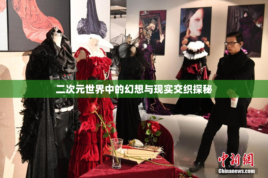 二次元世界中的幻想与现实交织探秘