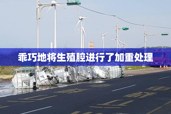 乖巧地将生殖腔进行了加重处理