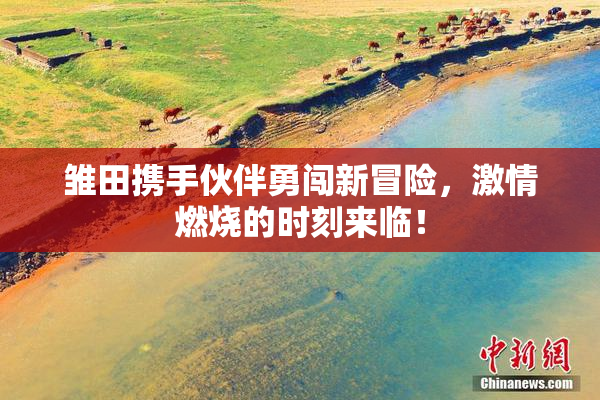 雏田携手伙伴勇闯新冒险，激情燃烧的时刻来临！
