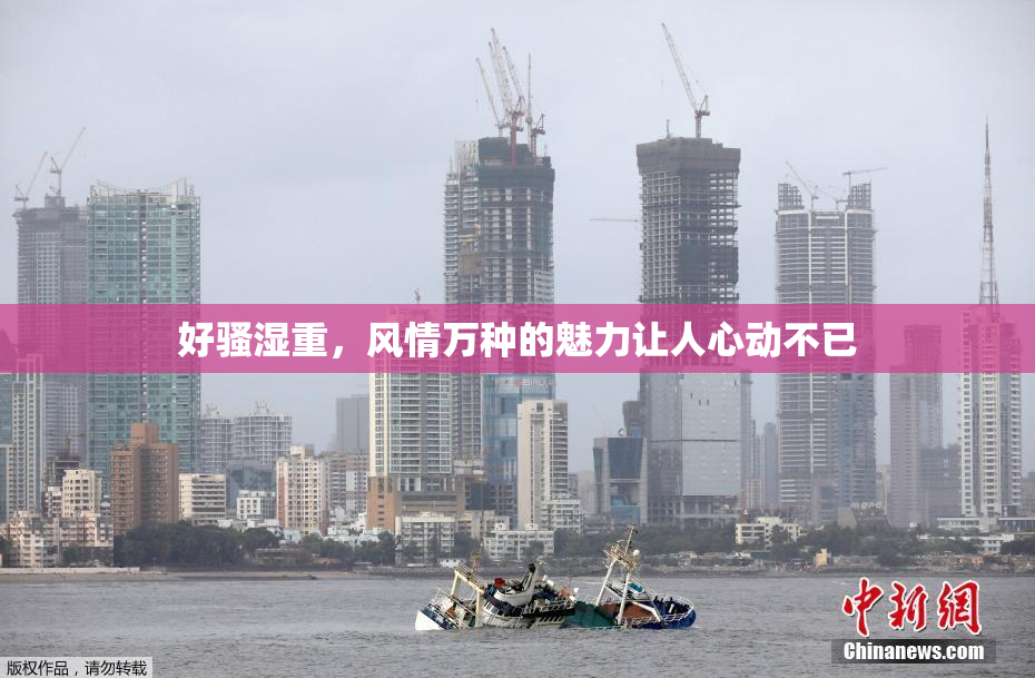 好骚湿重，风情万种的魅力让人心动不已