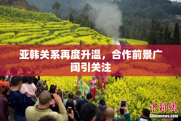亚韩关系再度升温，合作前景广阔引关注